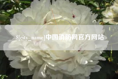宁国中国消防网官方网站