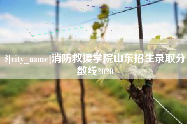 宁国消防救援学院山东招生录取分数线2020