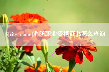 宁国消防职业资格证书怎么查询