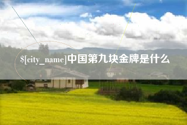宁国中国第九块金牌是什么