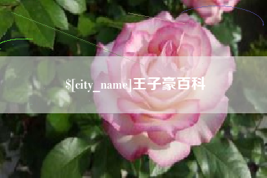 宁国王子豪百科