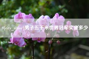 宁国男子五千米世界冠军奖金多少