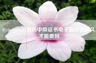 宁国消防中级证书电子版查询多久才能查到