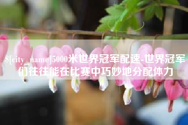 宁国5000米世界冠军配速-世界冠军们往往能在比赛中巧妙地分配体力
