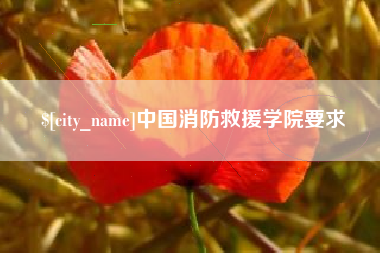 宁国中国消防救援学院要求