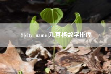 宁国九宫格数字排序