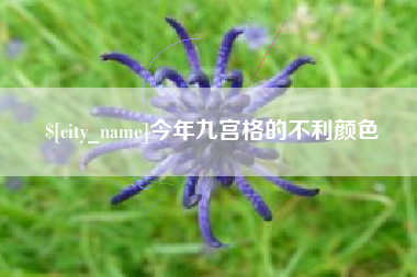 宁国今年九宫格的不利颜色
