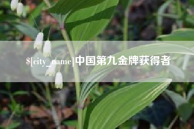 宁国中国第九金牌获得者