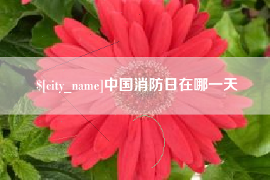 宁国中国消防日在哪一天