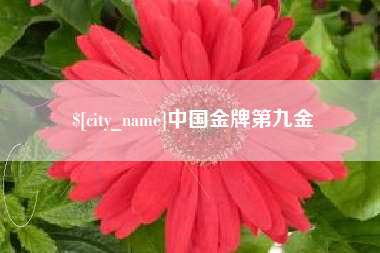 宁国中国金牌第九金