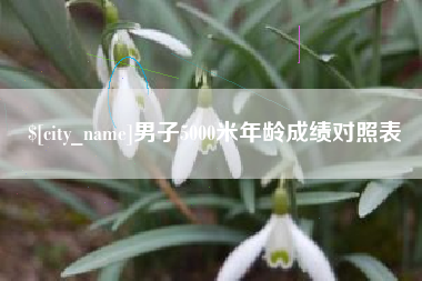 宁国男子5000米年龄成绩对照表