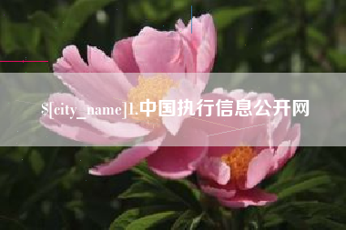 宁国1.中国执行信息公开网