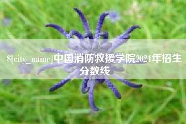 宁国中国消防救援学院2024年招生分数线