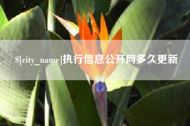 宁国执行信息公开网多久更新