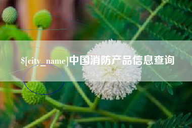 宁国中国消防产品信息查询
