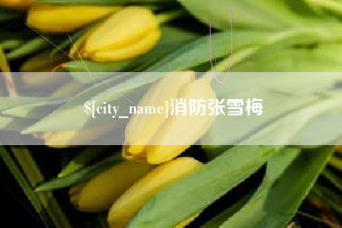 宁国消防张雪梅