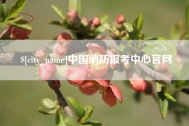 宁国中国消防报考中心官网