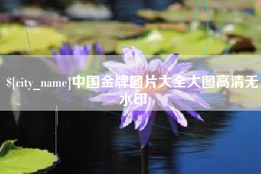 宁国中国金牌图片大全大图高清无水印