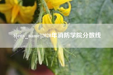 宁国2020年消防学院分数线