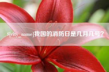 宁国我国的消防日是几月几号？