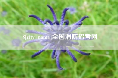 宁国全国消防招考网