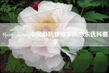 宁国中国消防救援学院山东选科要求
