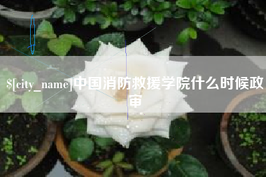 宁国中国消防救援学院什么时候政审