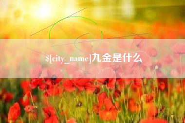 宁国九金是什么