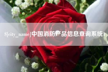 宁国中国消防产品信息查询系统1