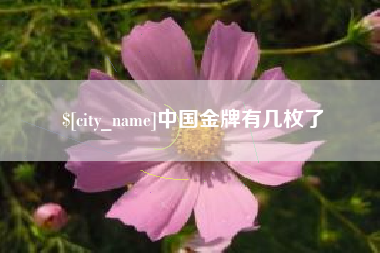 宁国中国金牌有几枚了