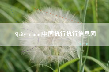 宁国中国执行执行信息网