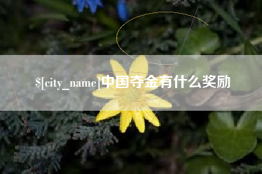 宁国中国夺金有什么奖励
