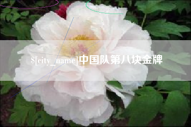 宁国中国队第八块金牌