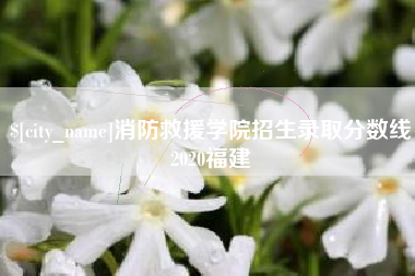 宁国消防救援学院招生录取分数线2020福建