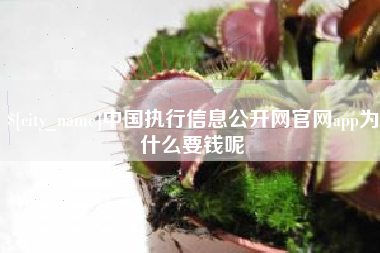 宁国中国执行信息公开网官网app为什么要钱呢