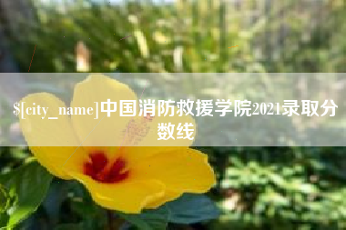宁国中国消防救援学院2021录取分数线