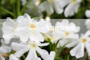 宁国579九宫格如何排