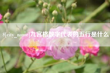 宁国九宫格数字代表的五行是什么