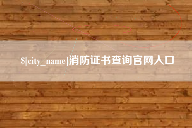 宁国消防证书查询官网入口