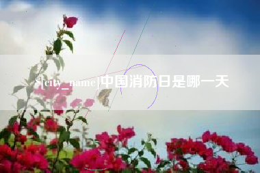 宁国中国消防日是哪一天