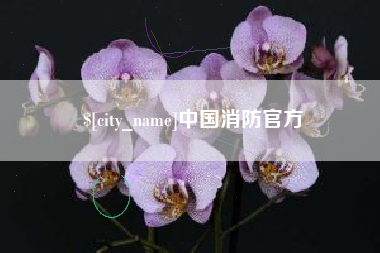 宁国中国消防官方