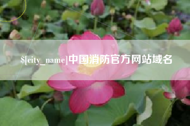 宁国中国消防官方网站域名