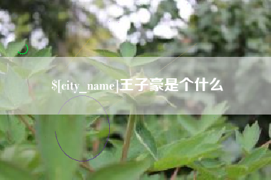 宁国王子豪是个什么