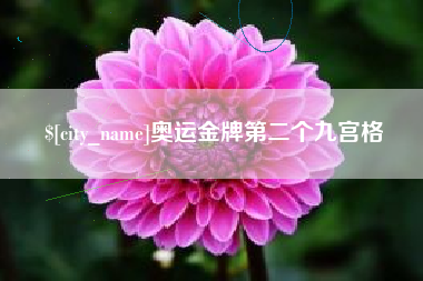 宁国奥运金牌第二个九宫格