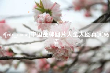 宁国中国金牌图片大全大图真实高清