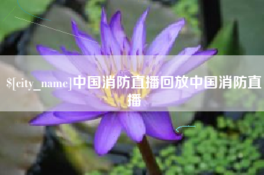 宁国中国消防直播回放中国消防直播