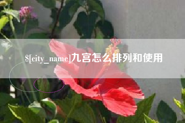 宁国九宫怎么排列和使用