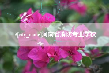 宁国河南省消防专业学校