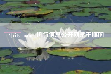 宁国执行信息公开网是干嘛的