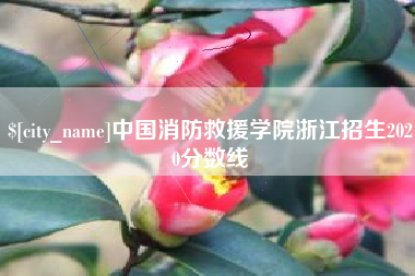 宁国中国消防救援学院浙江招生2020分数线